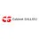 Logo Salliou Jean-Yves