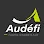 Logo AUDEFI ROMANET - Expertise comptable et audit